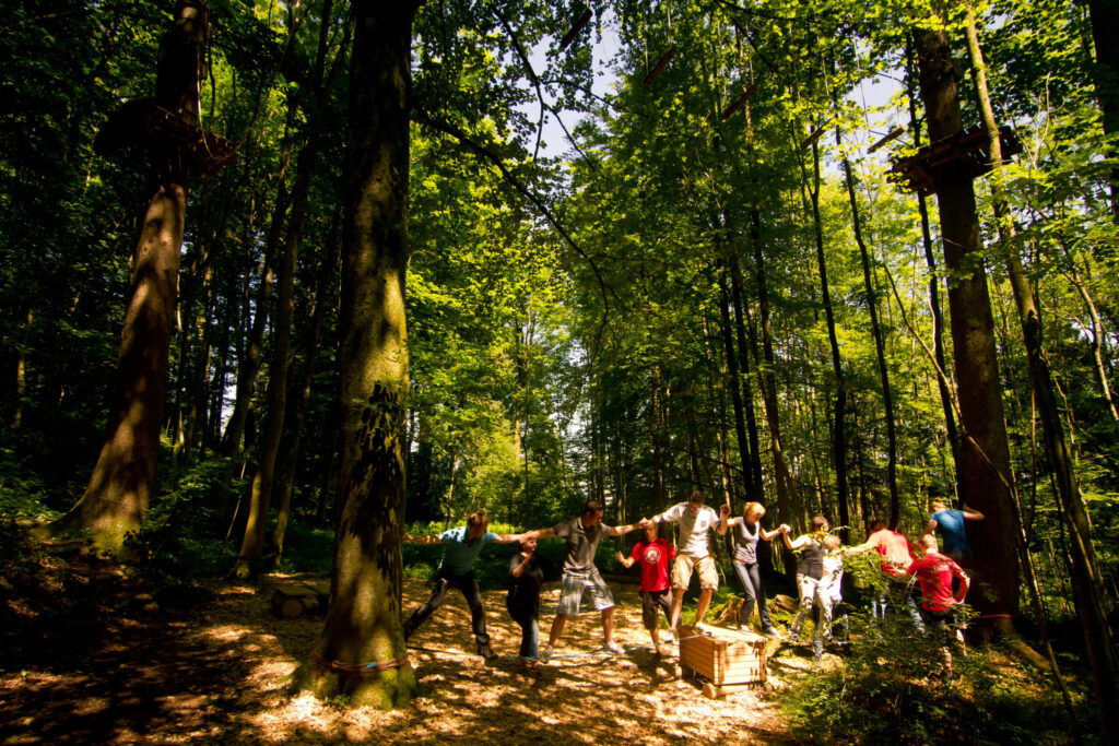 Eine Gruppe balanciert gemeinsam auf Holzplattformen im Kletterwald Prien am Chiemsee.