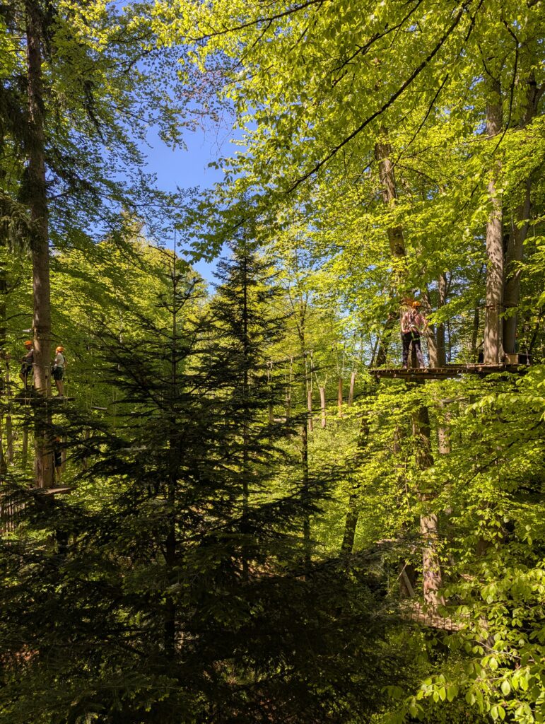 Ein Foto vo Kletterwald Prien am Chiemsee, mit vielen Bäumen, im Hintergrund sieht man Personen in einem der Parcours.
